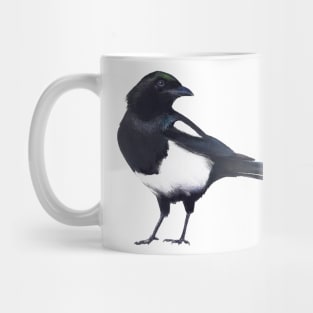 Black-billed Magpie Mug